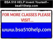 BSA 510 HELP Invent Yourself--bsa510help.com