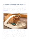 Advantages of Automatic food feeders for cats PowerPoint PPT Presentation
