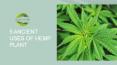 Top 5 Ancient Use of Hemp | CBD Oil for Inflammation PowerPoint PPT Presentation