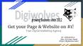 True Digital Marketing Agency | Best SEO company  | DigiWolves PowerPoint PPT Presentation