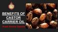 Benefits of Castor Carrier Oil- Kush Aroma Exports PowerPoint PPT Presentation