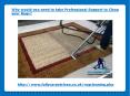 Why would you need to take Professional Support to Clean your Rugs PowerPoint PPT Presentation