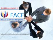 Equal Employment Opportunity consultant