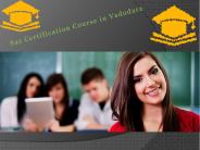 Sas Certification Course in Vadodara