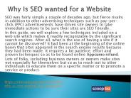 Why Is SEO wanted for a Website
