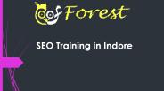 seo training in indore