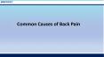 Common Causes of Back Pain PowerPoint PPT Presentation