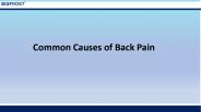 Common Causes of Back Pain