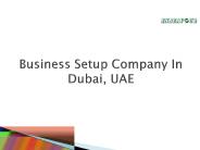 Business Setup Company In Dubai, UAE