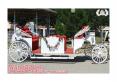 Horse Drawn Wedding White limo Carriage (1)