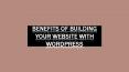 Benefits of Building your Website with WordPress PowerPoint PPT Presentation