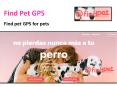 GPS para gatos PowerPoint PPT Presentation