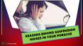 Reasons Behind Suspension Noises in your Porsche PowerPoint PPT Presentation