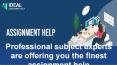 Professional subject experts are offering you the finest assignment help PowerPoint PPT Presentation