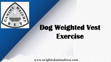 Dog weighted vest exercise