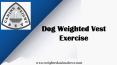 Dog weighted vest exercise PowerPoint PPT Presentation