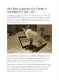 Why Best Automatic Cat Feeder is Important For Your Cat? PowerPoint PPT Presentation