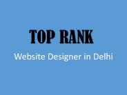 Website Designer in Delhi