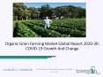 Organic Grain Farming Market, Industry Trends, Revenue Growth, Key Players Till 2030 PowerPoint PPT Presentation