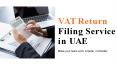 VAT Return Filing Service in UAE PowerPoint PPT Presentation