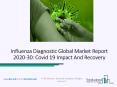 Influenza Diagnostic Market Analysis With Top Companies Share And 2020 Growth PowerPoint PPT Presentation