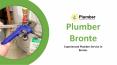 Hire Experienced and Talented Plumber in Bronte PowerPoint PPT Presentation