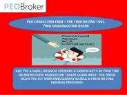 PEO Consulting Firm – The Time-saving Tool Your Organization Needs