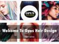 OPUS HAIR DESIGN Presentation PowerPoint PPT Presentation