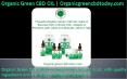 Treat Your Joint Pain with the Help of Organic Gree CBD Oil PowerPoint PPT Presentation