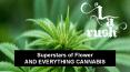 CBD Delivery and Dispensary Products North Hills PowerPoint PPT Presentation