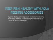 Keep Fish Healthy With Aqua Feeding Accessories