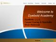 Welcome to Carpet Dyeing Services Florida. PowerPoint PPT Presentation