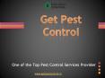Top Pest control Services in Delhi PowerPoint PPT Presentation