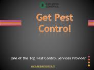 Top Pest control Services in Delhi