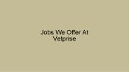 Jobs We Offer At Vetprise