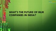 WHAT'S THE FUTURE OF MLM COMPANIES IN INDIA?