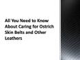 All You Need to Know About Caring for Ostrich Skin Belts and Other Leathers PowerPoint PPT Presentation