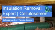 Insulation Removal Leader in Toronto, Canada
