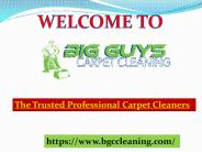 Carpet Upholstery Cleaning in New Jersey