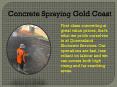 Concrete Spraying Gold Coast - QLD Shotcrete Services PowerPoint PPT Presentation