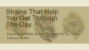 Strains That Help You Get Through The Day