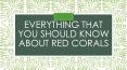 Buy Red Coral