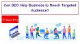 Can SEO Help Business to Reach Targeted Audience PowerPoint PPT Presentation