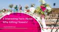 5 Interesting Facts About Why Gifting Flowers! PowerPoint PPT Presentation