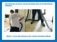 Five Reasons to have Carpet Cleaning done PowerPoint PPT Presentation