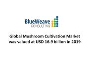 global mushroom cultivation market
