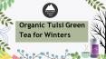 Organic Tulsi Green Tea for Winters PowerPoint PPT Presentation