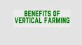 BENEFITS OF VERTICAL FARMING PowerPoint PPT Presentation