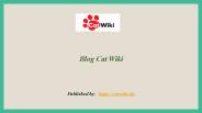 Blog Cat Wiki