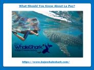 What Should You Know About La Paz